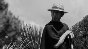 Plan de Vida de los pueblos 